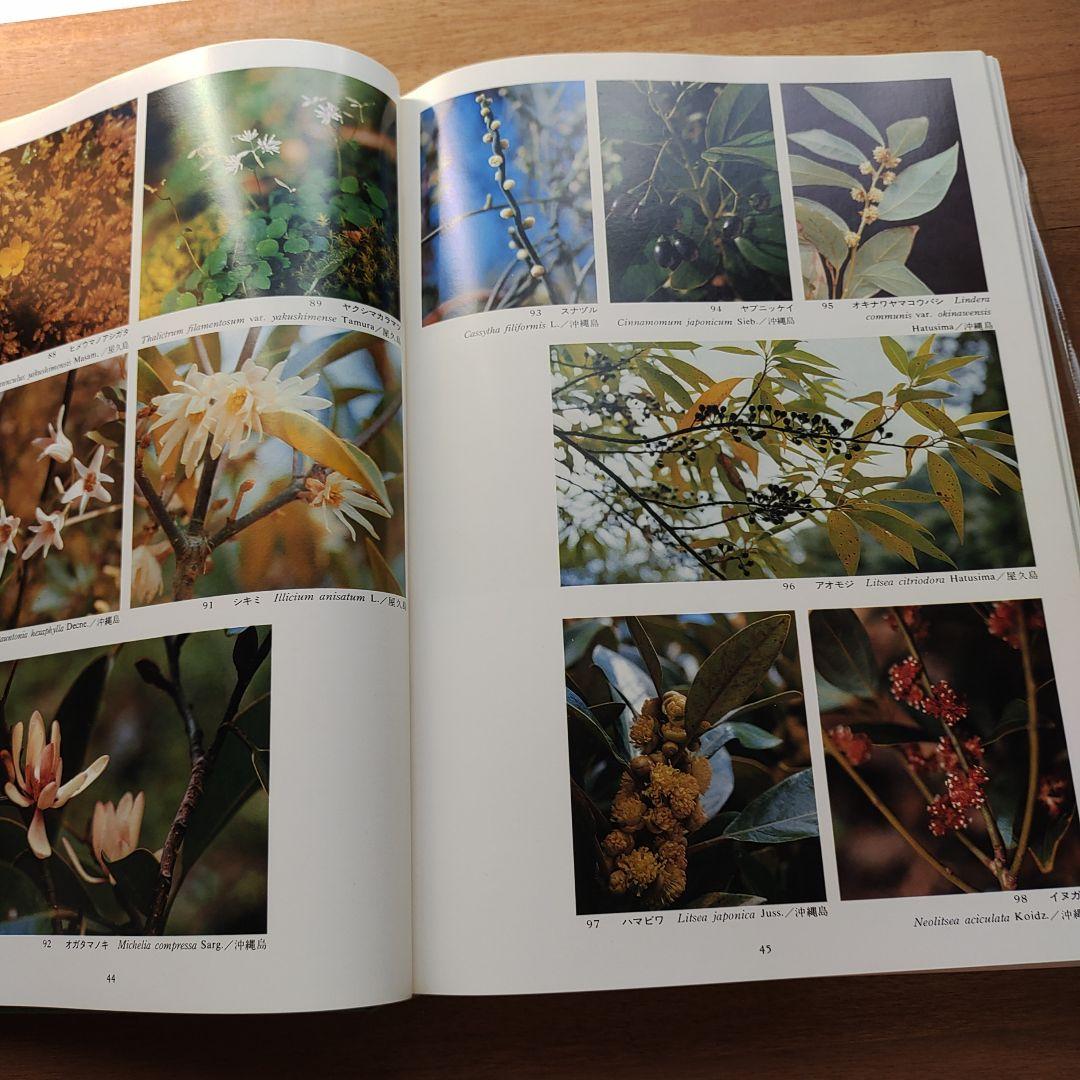 琉球の植物 　初島住彦・中島邦雄 著