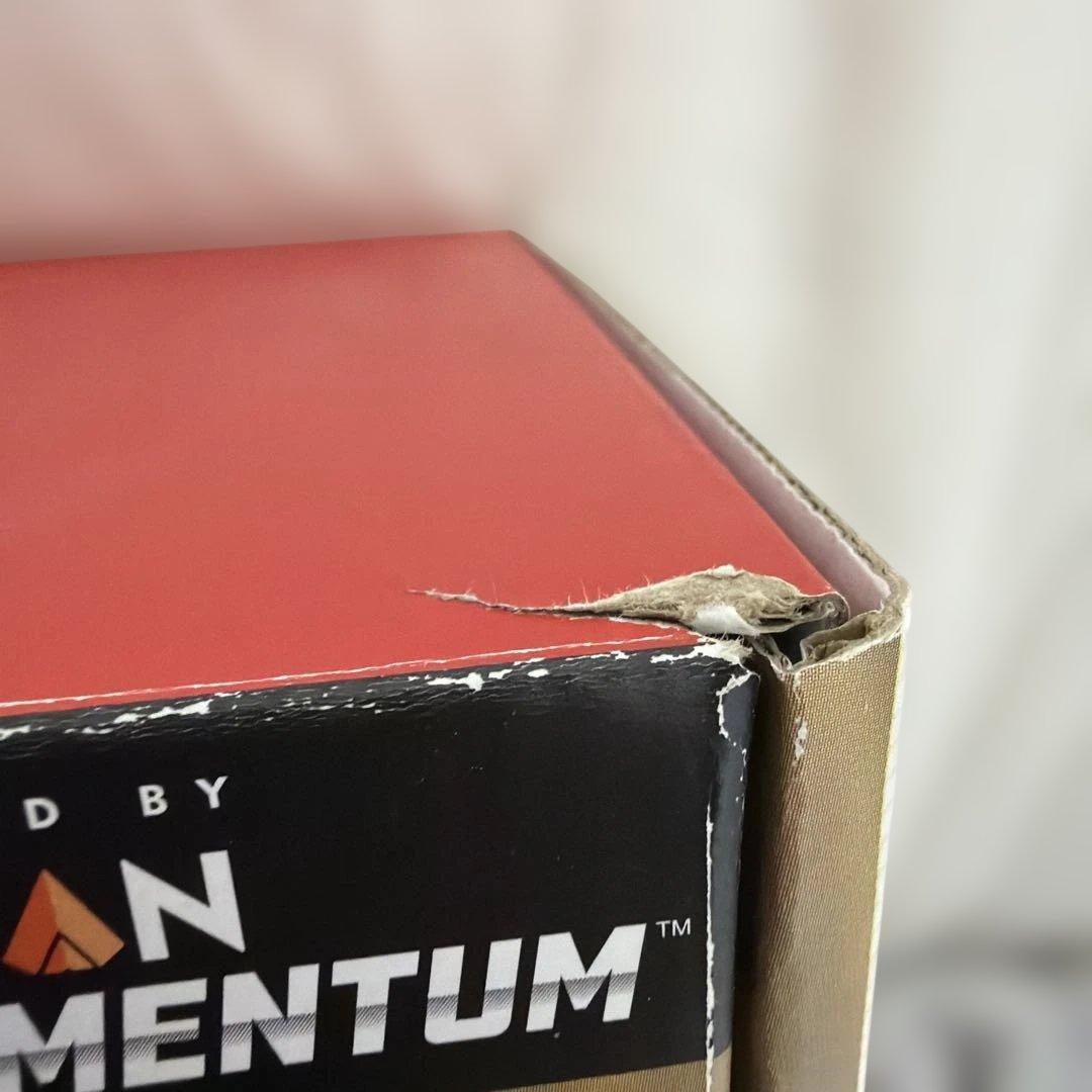 マリオカートライブホームサーキット　スーパーマリオ3D WORLD