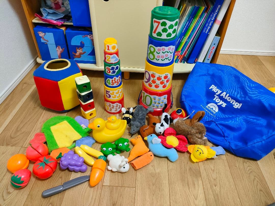 DWE ディズニー英語システム　フルセット　2014（新子役版）　DSMTG