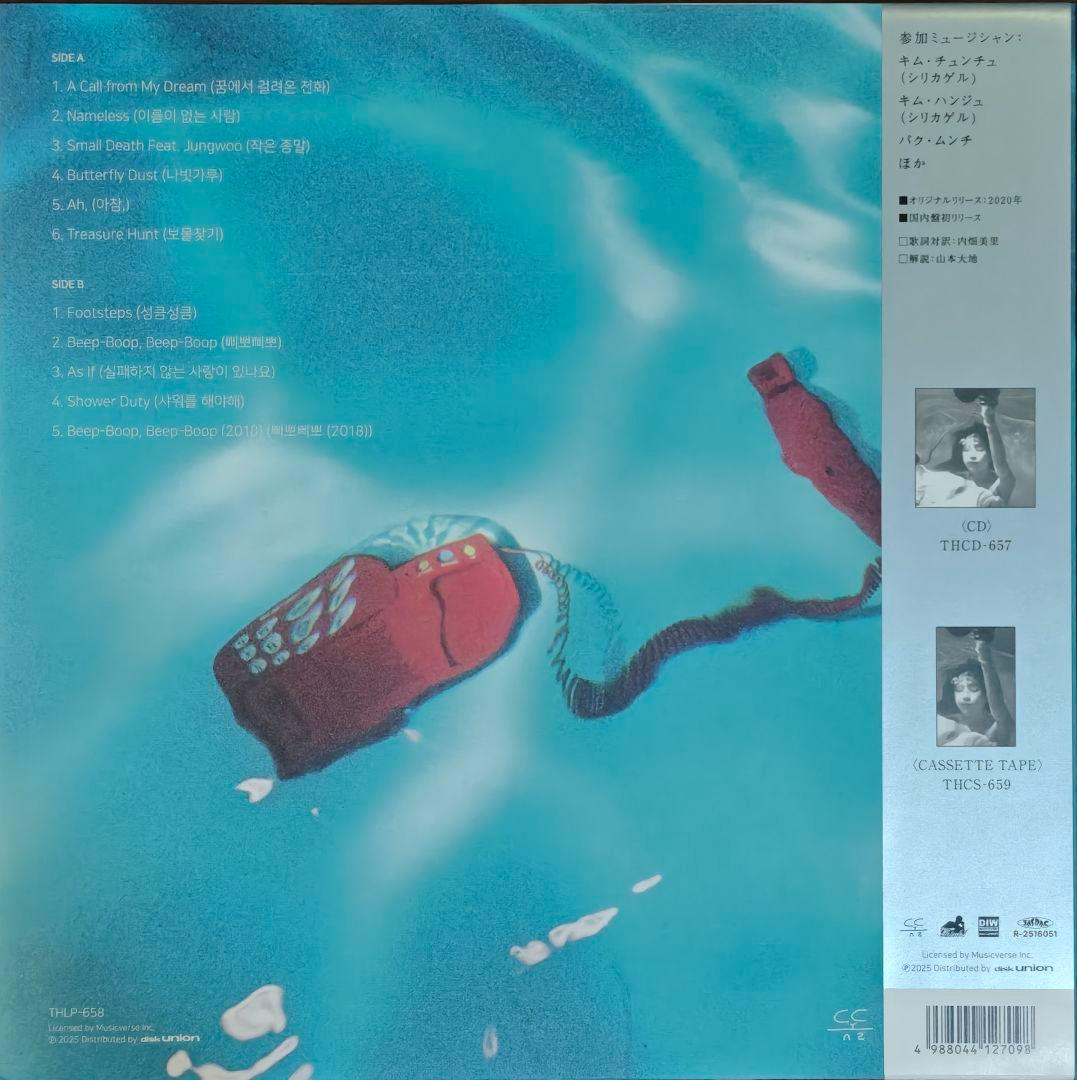 その他 Meaningful Stone A Call From My Dream LP