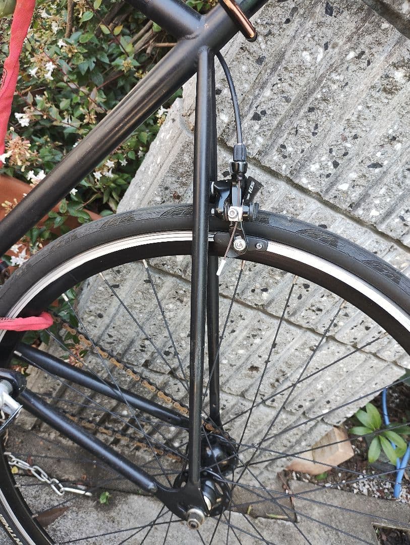 ザ パワー　フジフェザー