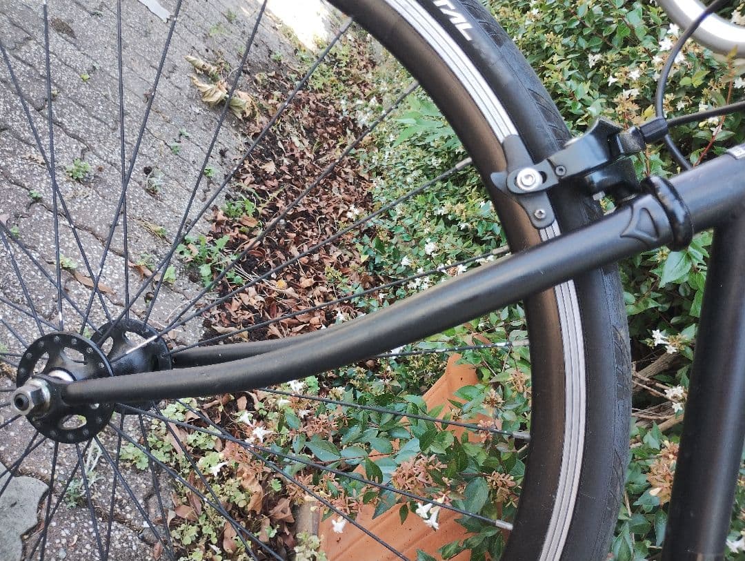 ザ パワー　フジフェザー