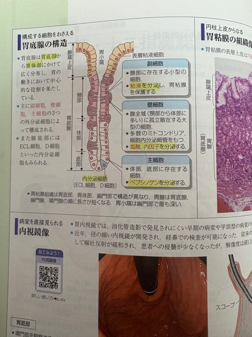 病気がみえる 1~11 全11巻セット