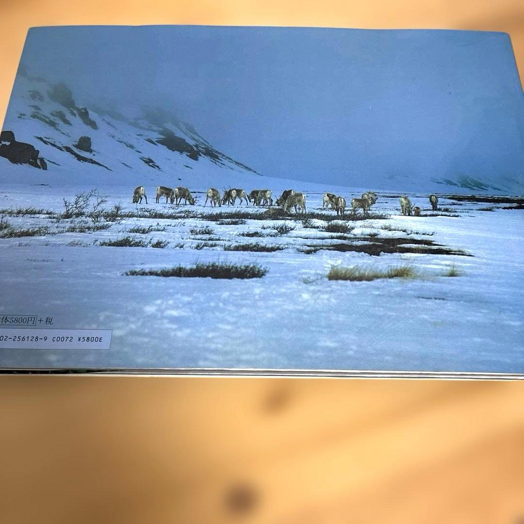 アラスカ　極北生命の地図　星野道夫