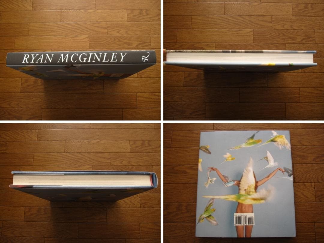 Ryan McGinley：Whistle for the Wind