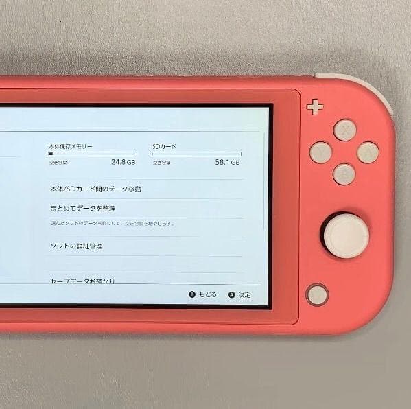 Nintendo Switch Lite 本体 動作品