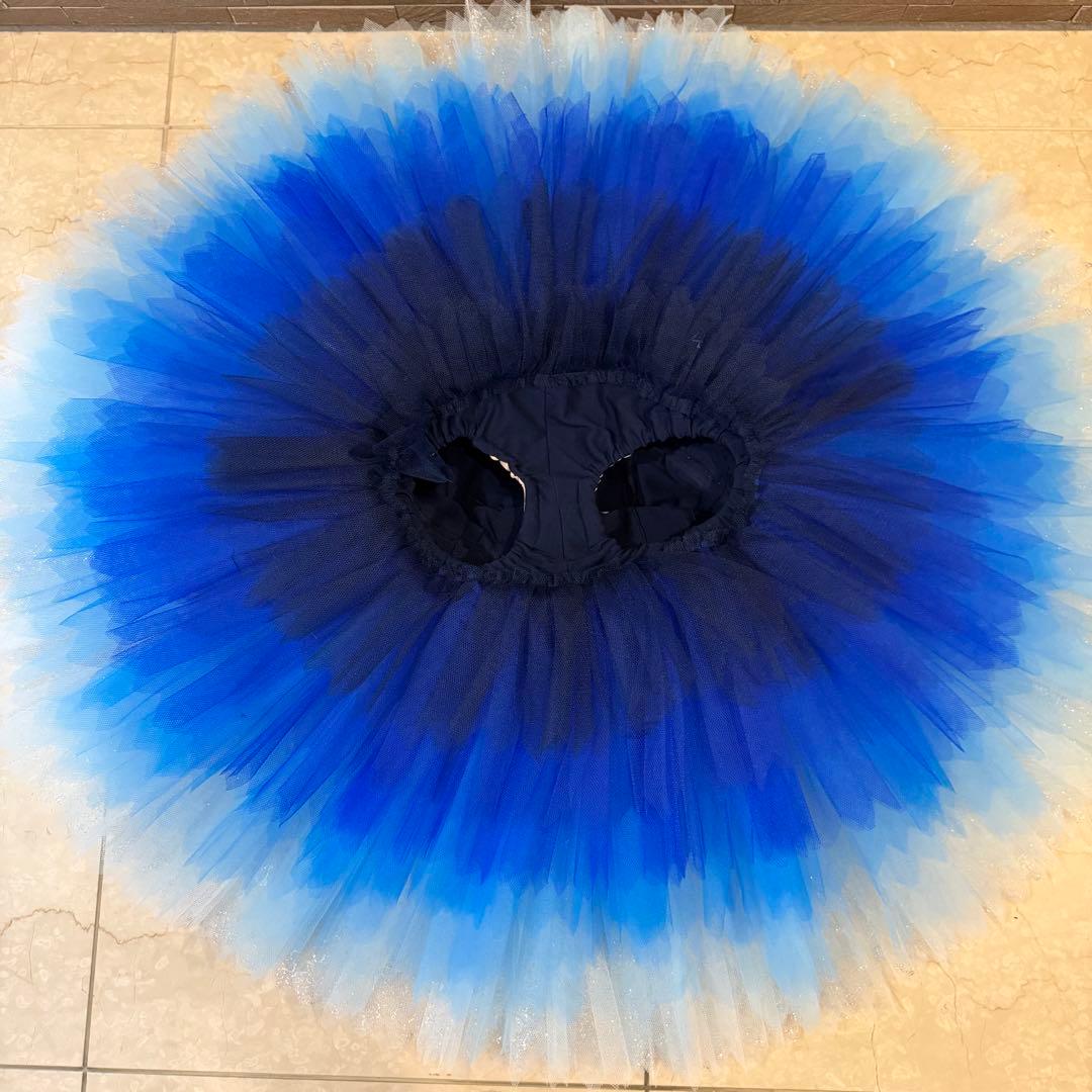 バレエ衣装☆コンクール用☆オーダーチュチュ