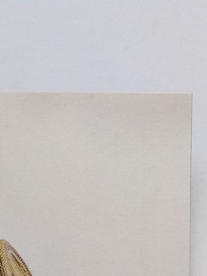 廃盤 ＣＤ ZORN 生活日和 通常盤 ＣＤThe Downtown 2枚セット