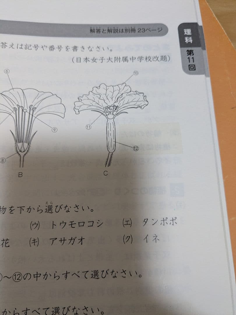 予習シリーズ　4年