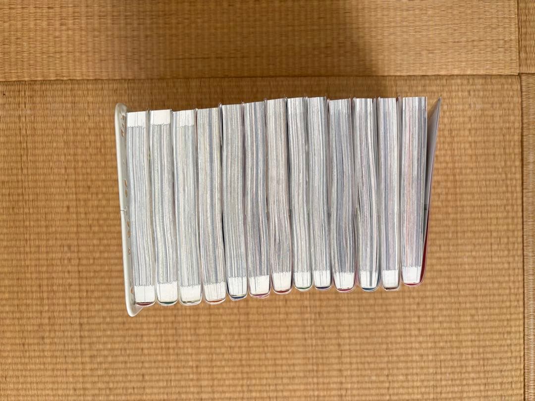 【本日まで】【特典付き】ある日、お姫様になってしまった件について　全14巻セット