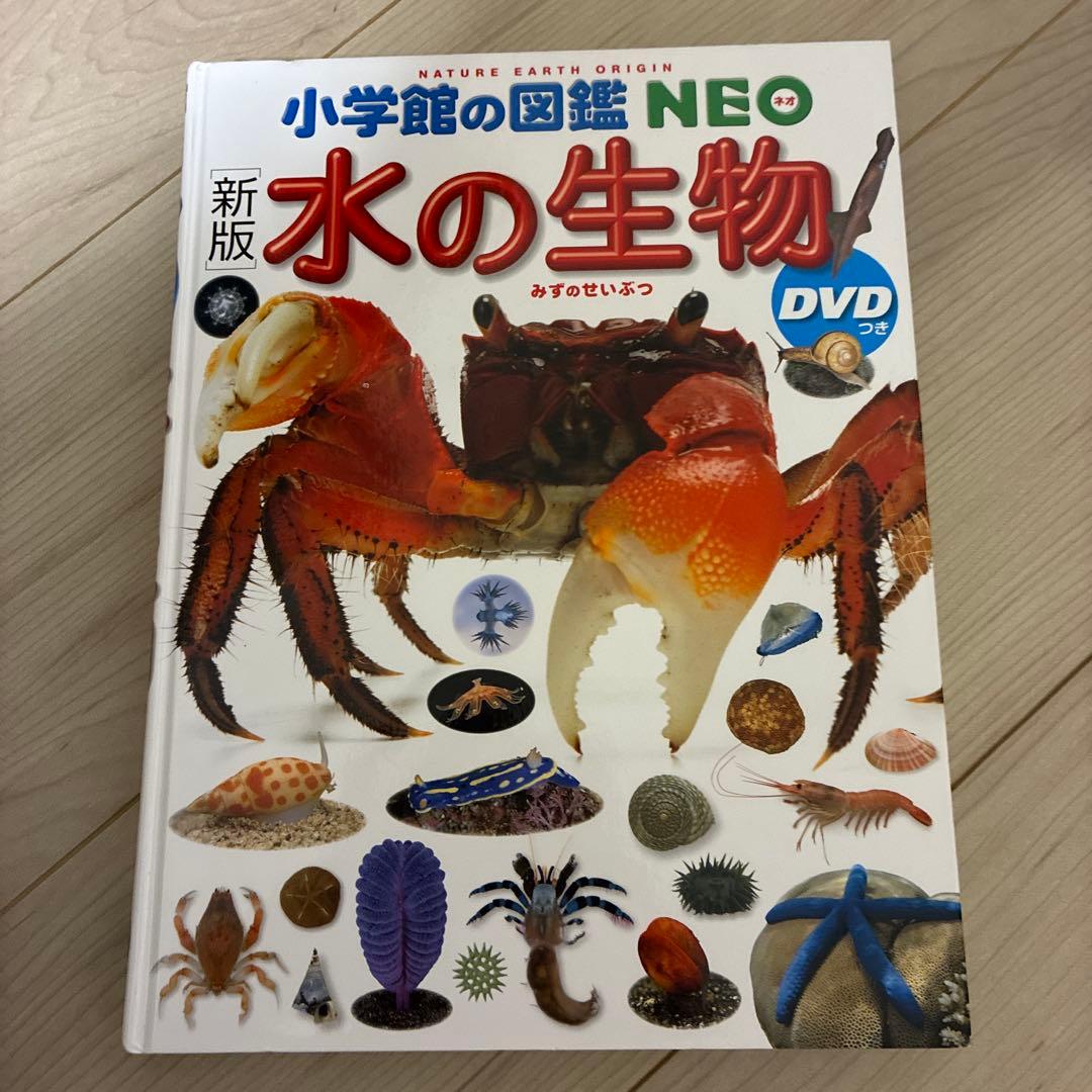 図鑑　セット