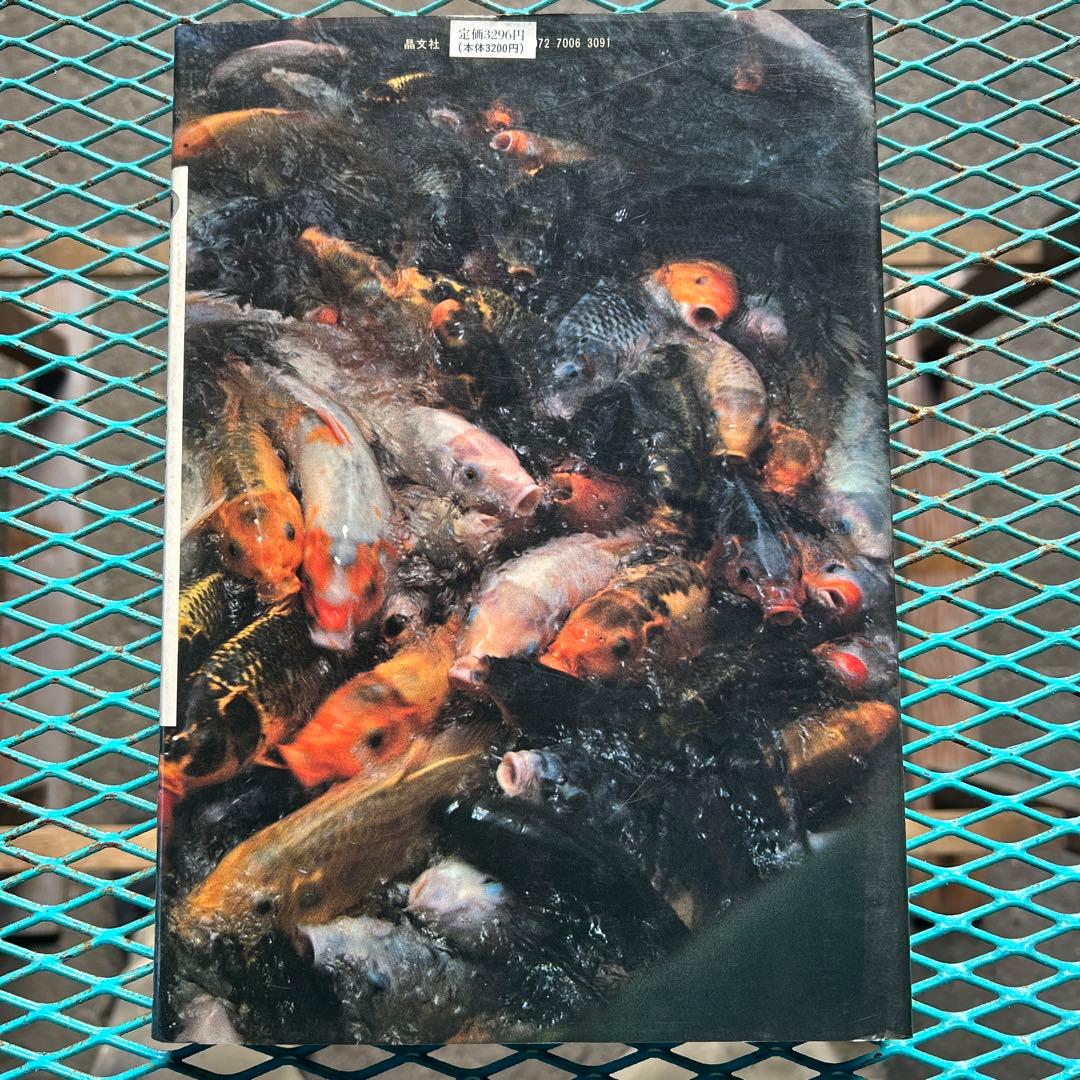 【限定値下げ中‼️】 希少 絶版 中平卓馬 新たなる凝視 写真集 ビンテージ 古本