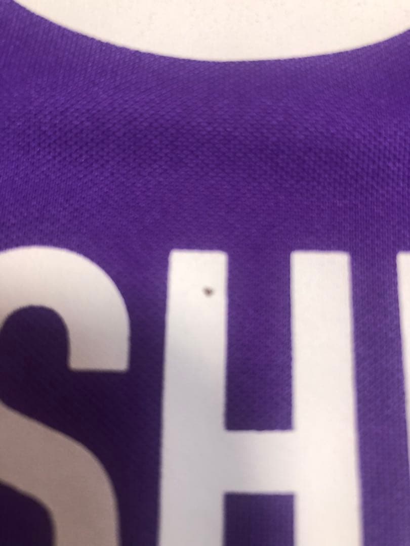 サンフレッチェ広島　塩谷司　直筆サイン入りユニフォーム　 Lサイズ