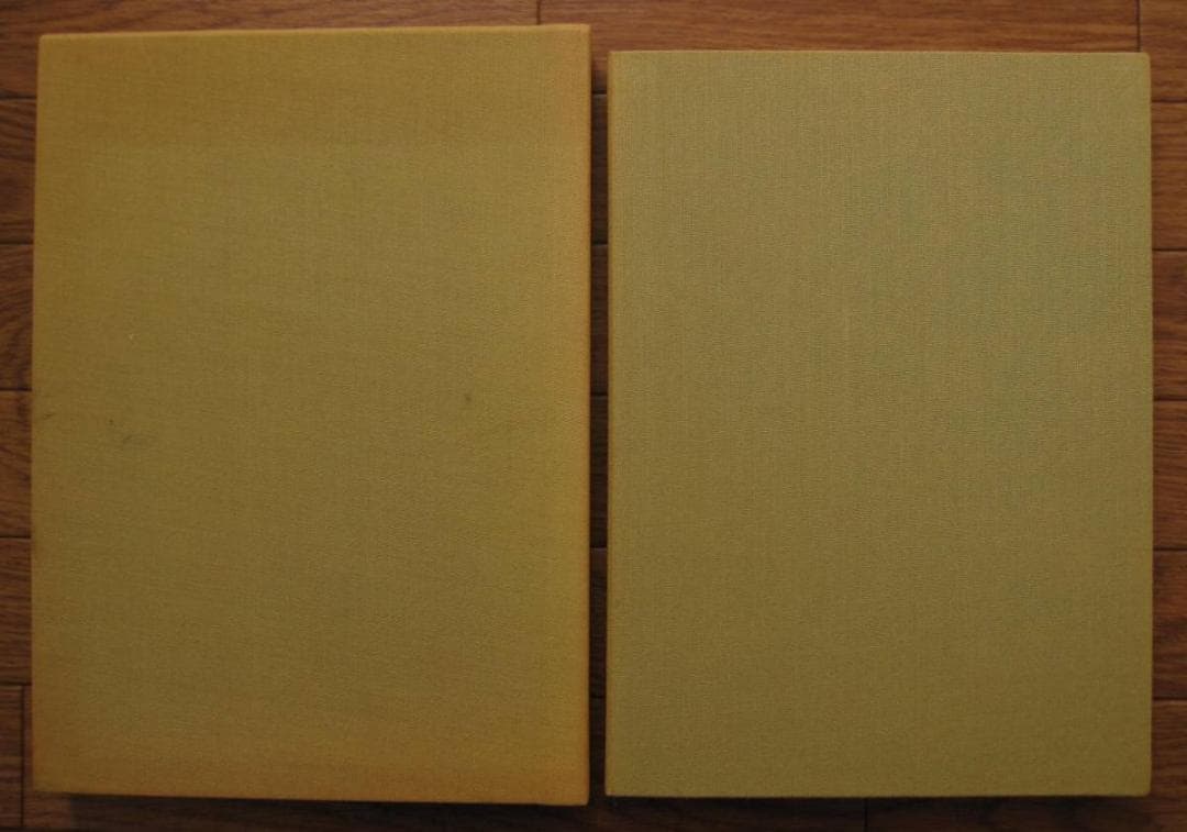 悪徳の暹羅双生児もしくは柱とその崩壊　相澤啓三　建石修志　リトグラフ 限定50部