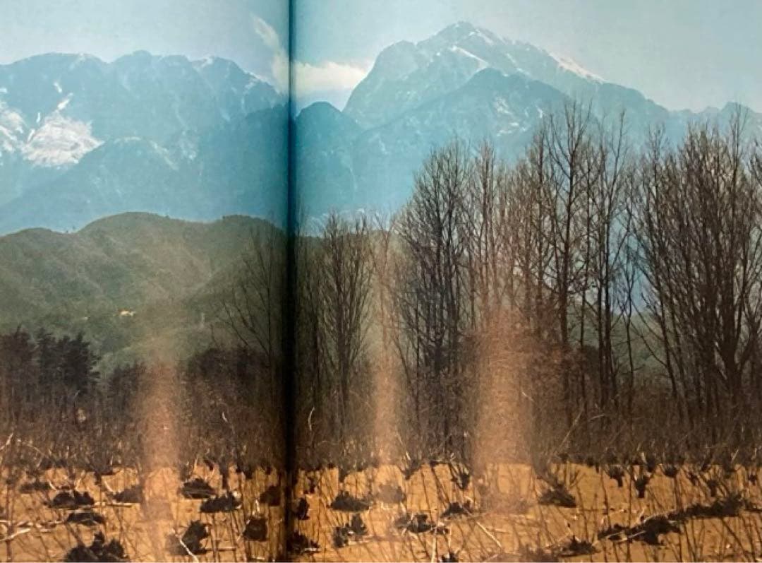 【初版本】田淵行男 浅間・八ヶ岳 麓からの山 写真集 山岳写真家 ハードカバー