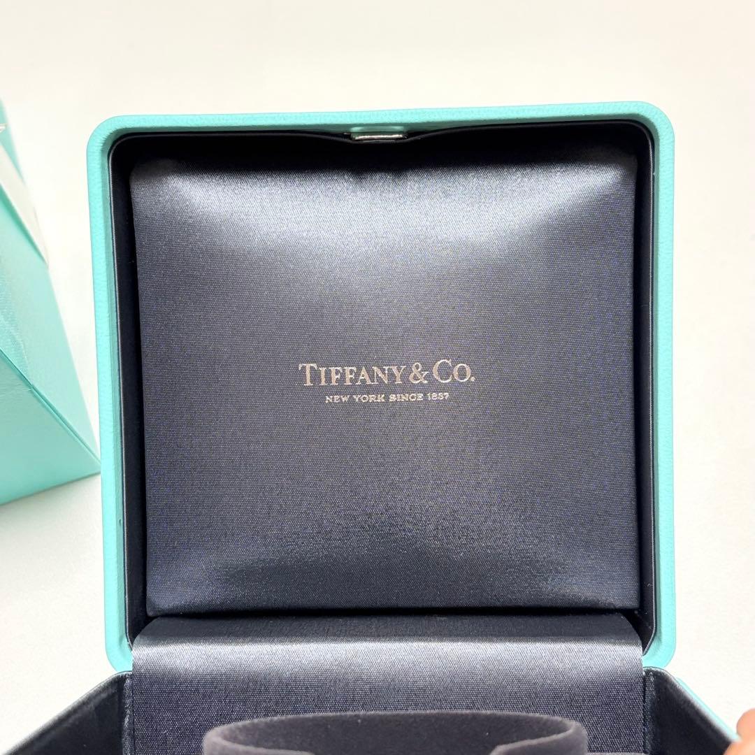 美品　ティファニー　バングルケース　空箱　ブレスレット　腕時計ケース　現行品　A