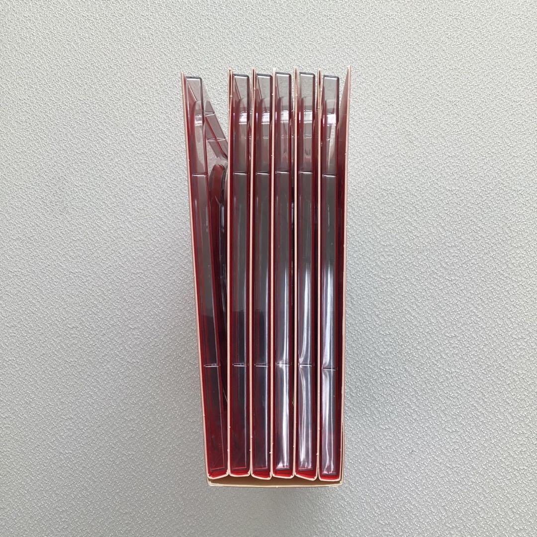 DVD 危険なアネキ DVD-BOX【動作確認済み】