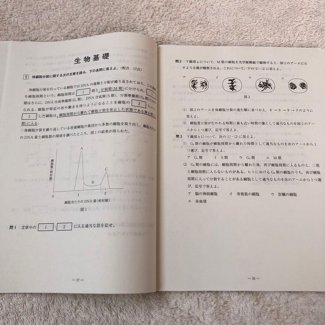 【未使用】高校3年生 2024年度 第1回 全統記述模試 河合塾