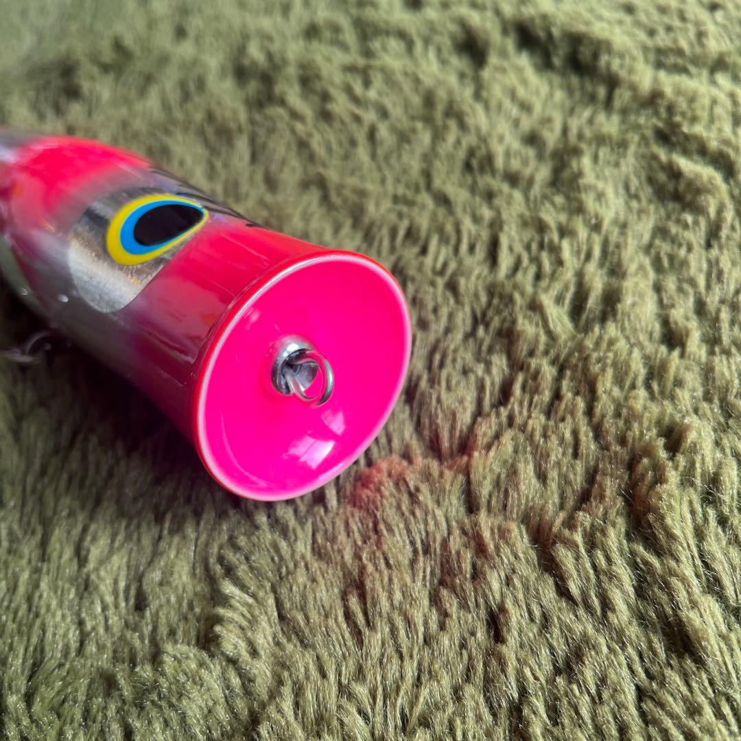 ハンマーヘッド Dカップ