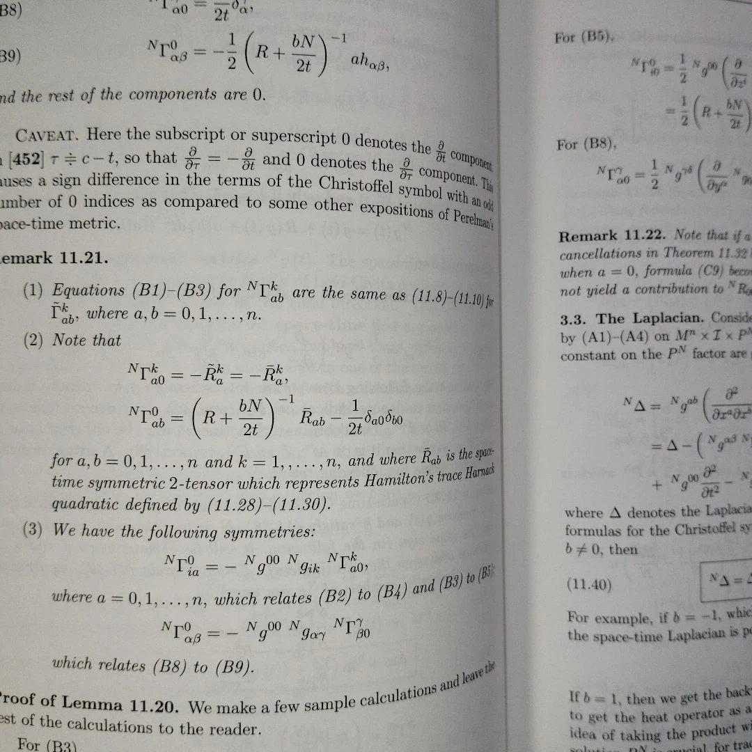 Hamilton’s Ricci Flow　洋書　リッチフロー　微分幾何学