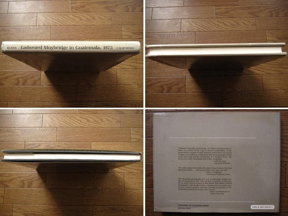 アート・デザイン・音楽 Eadweard Muybridge in Guatemala, 1875