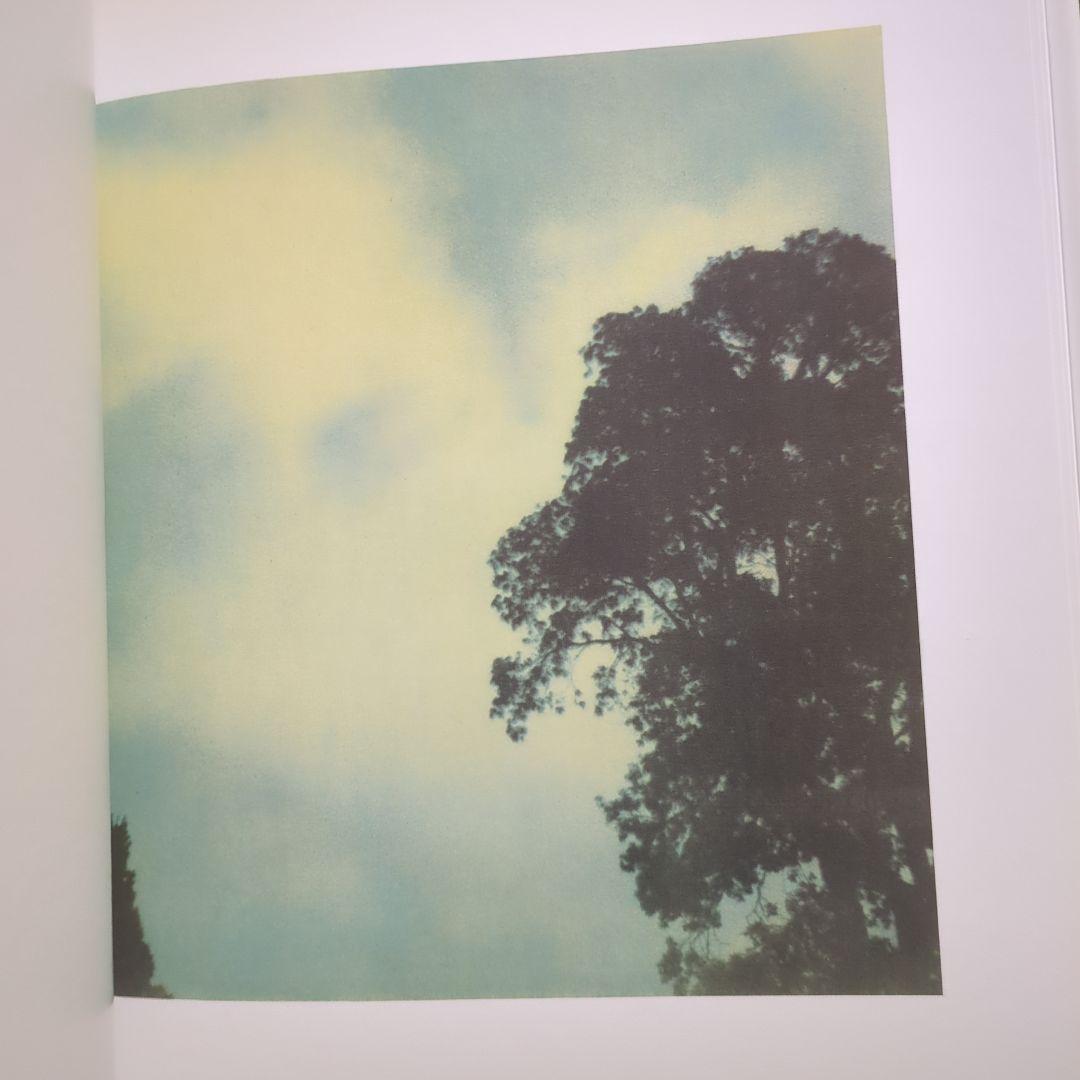 Cy Twombly サイ・トゥオンブリー Photographs 洋書 写真集