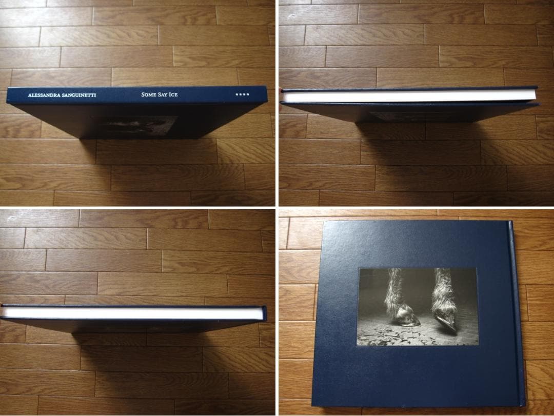 SOME SAY ICE　Alessandra Sanguinetti