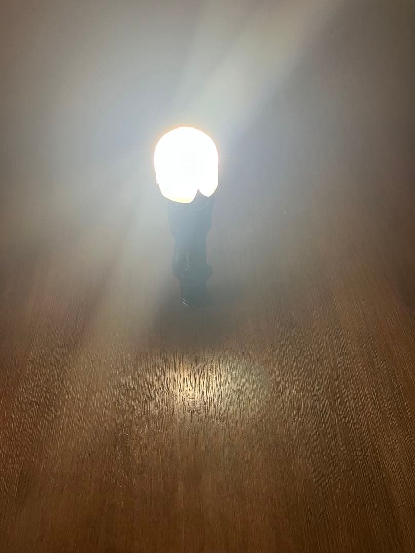 ターミネーター Luminopt Terminator X TD-15 懐中電灯