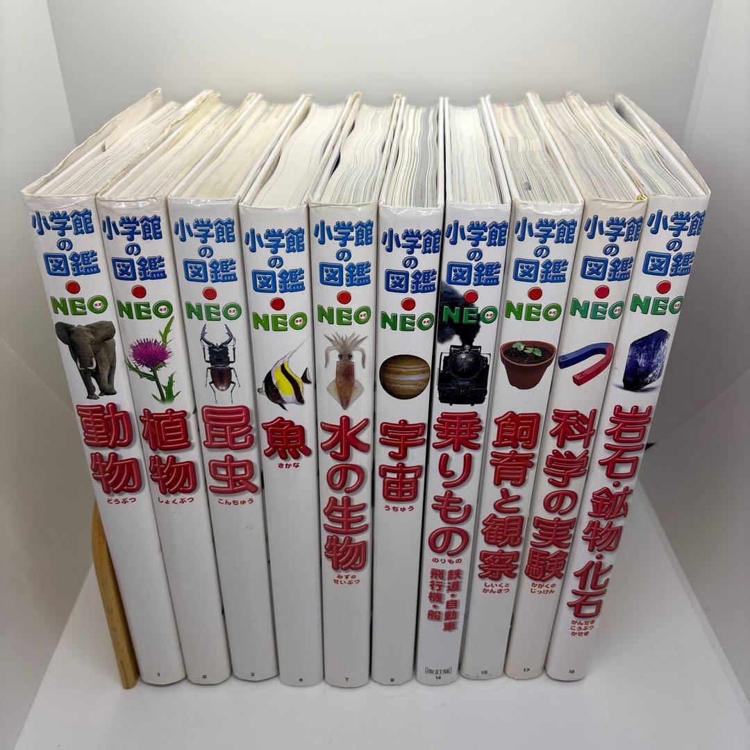 小学館の図鑑NEO 10冊セット