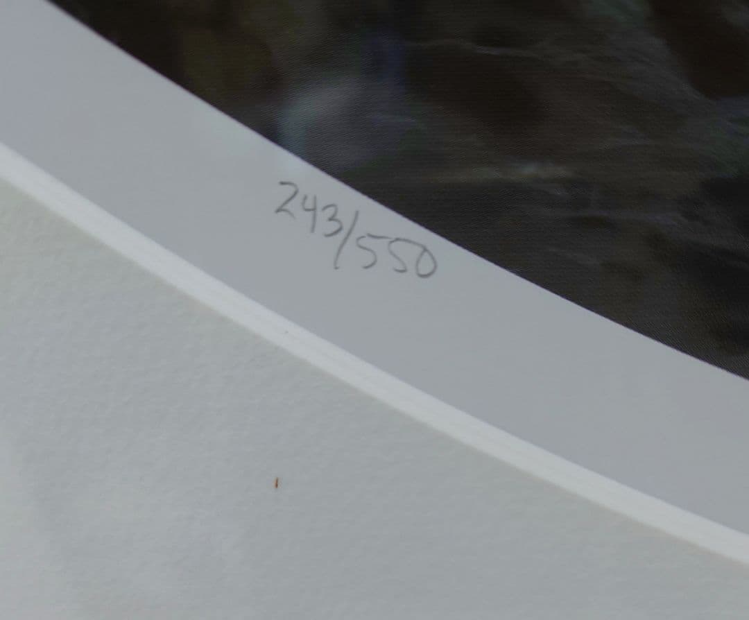 絵画 Roy Gonzalez Tabora