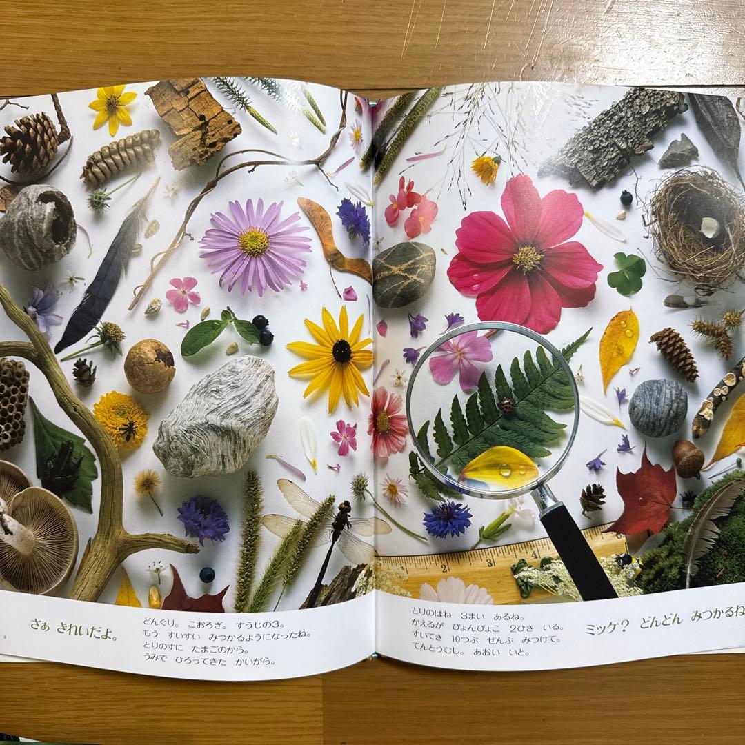 ワイド版 8冊セット ミッケ! いつまでもあそべる かくれんぼ絵本