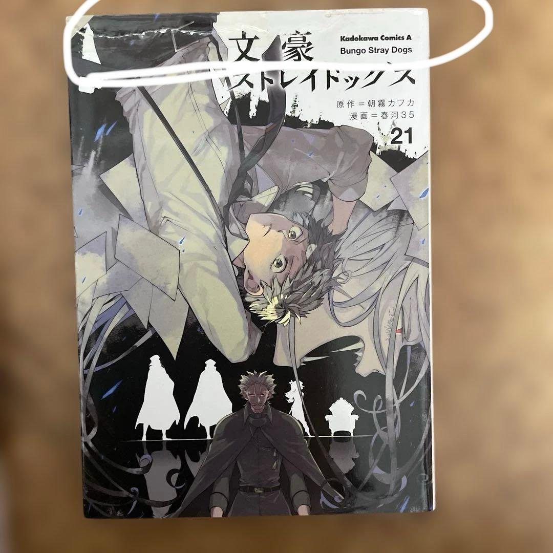 文豪ストレイドッグス25巻＋文豪ストレイドッグスわん！12巻＋11巻セット