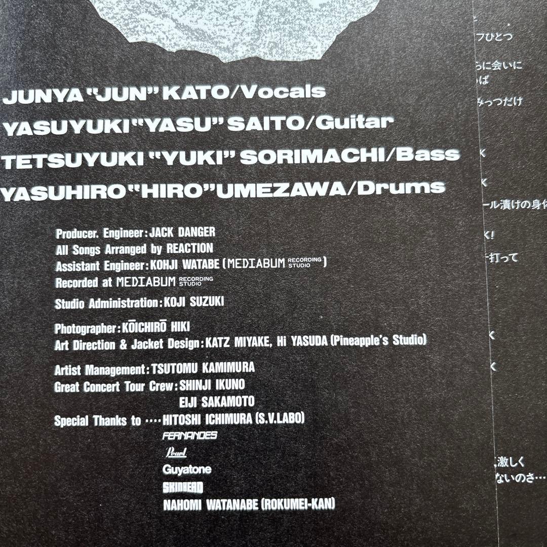 REACTION INSANE アナログレコード