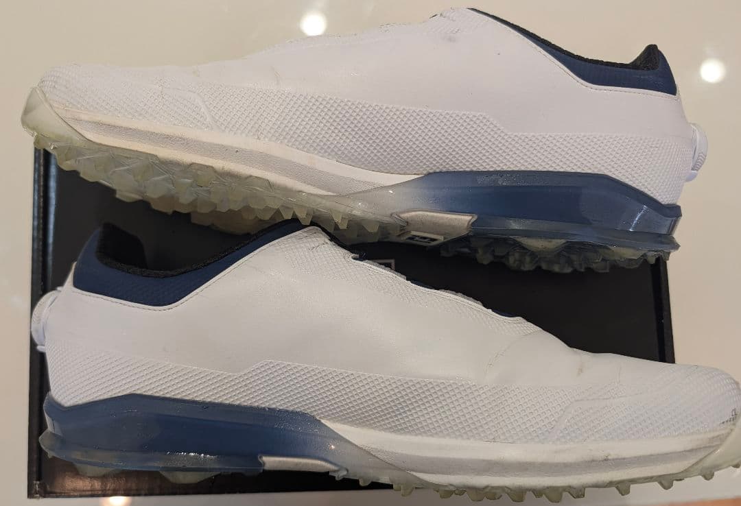 フットジョイ ドライジョイズ プロ BOA 29cm 3R使用 25年秋モデル