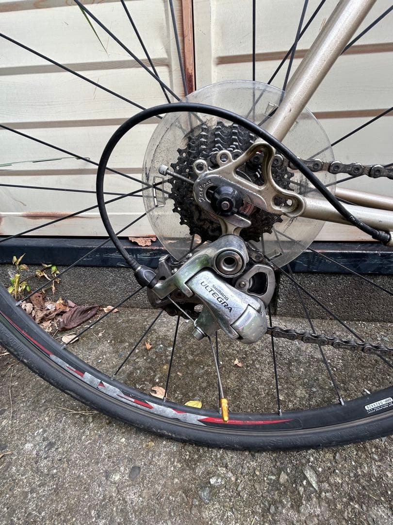 チャリダー　Salsa Casseroll