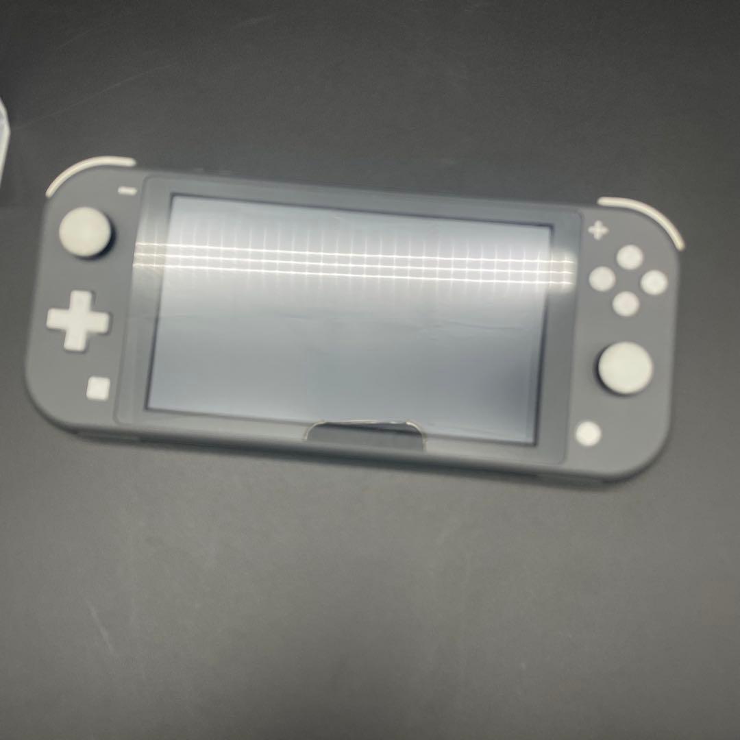 ◯Nintendo Switch Lite グレー 本体 アダプター ケース 付