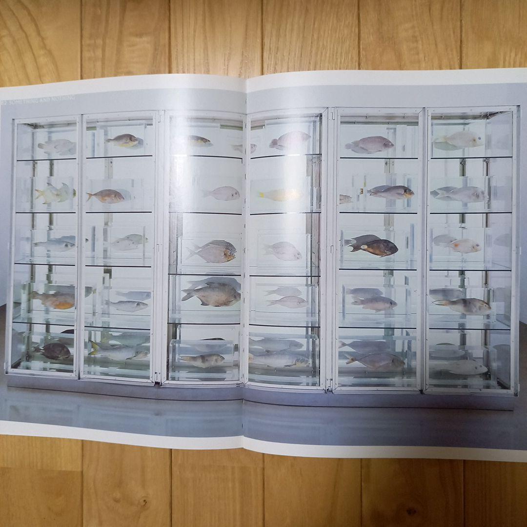 洋書ダミアン.ハースト作品集　BEYOND BERIEF 2008年　イギリス