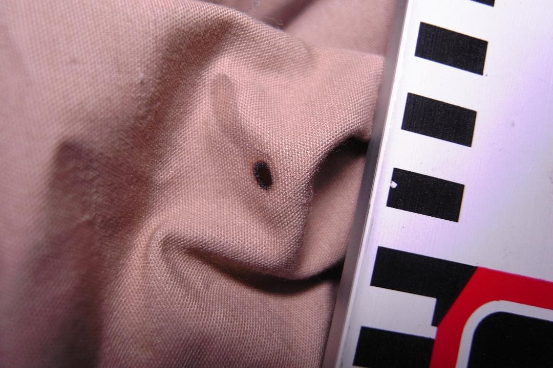 POMOLY　YARN PLUS TC 2-4人用 （煙突穴付き）ポモリー