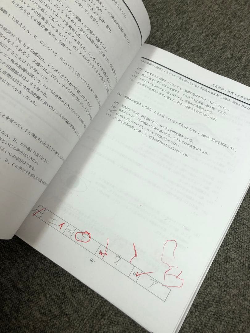 早稲田アカデミー6年　NN渋谷幕張　日曜講座/正月特訓他 中古　2025受験