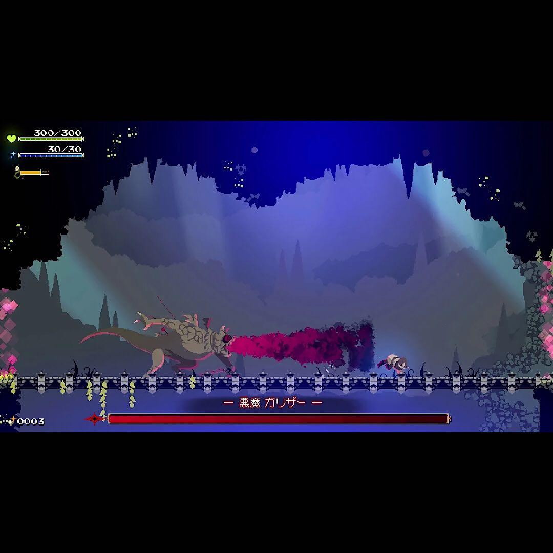Momodora: 月影のエンドロール コレクターズエディション switch