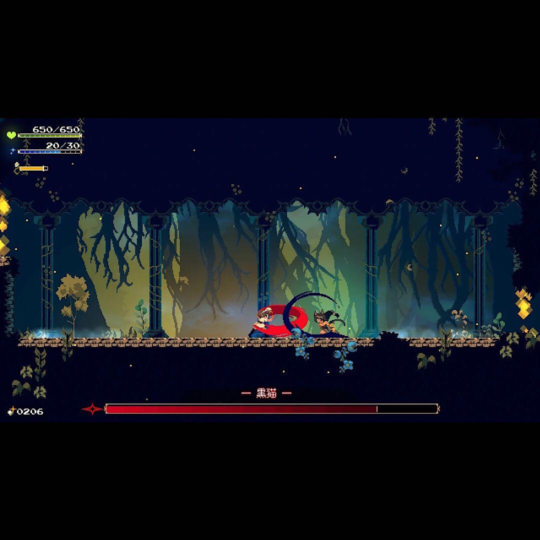 Momodora: 月影のエンドロール コレクターズエディション switch