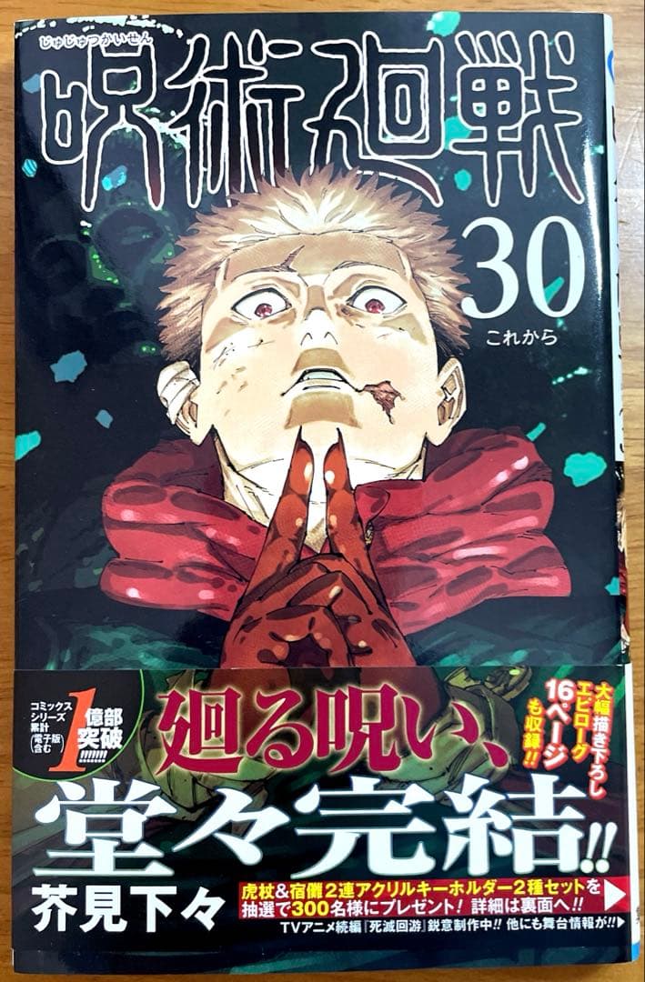 呪術廻戦 0-30巻　全巻セット＋関連本　計31冊漫画　完結　状態良好☆コミック
