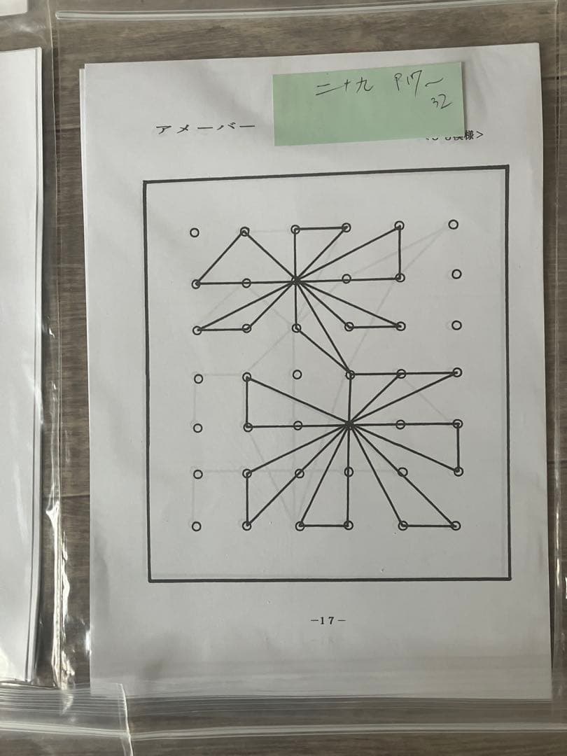 【希少・袋入】ピグマリオン 思考力育成教材 17点セット 二十一段〜三十二段