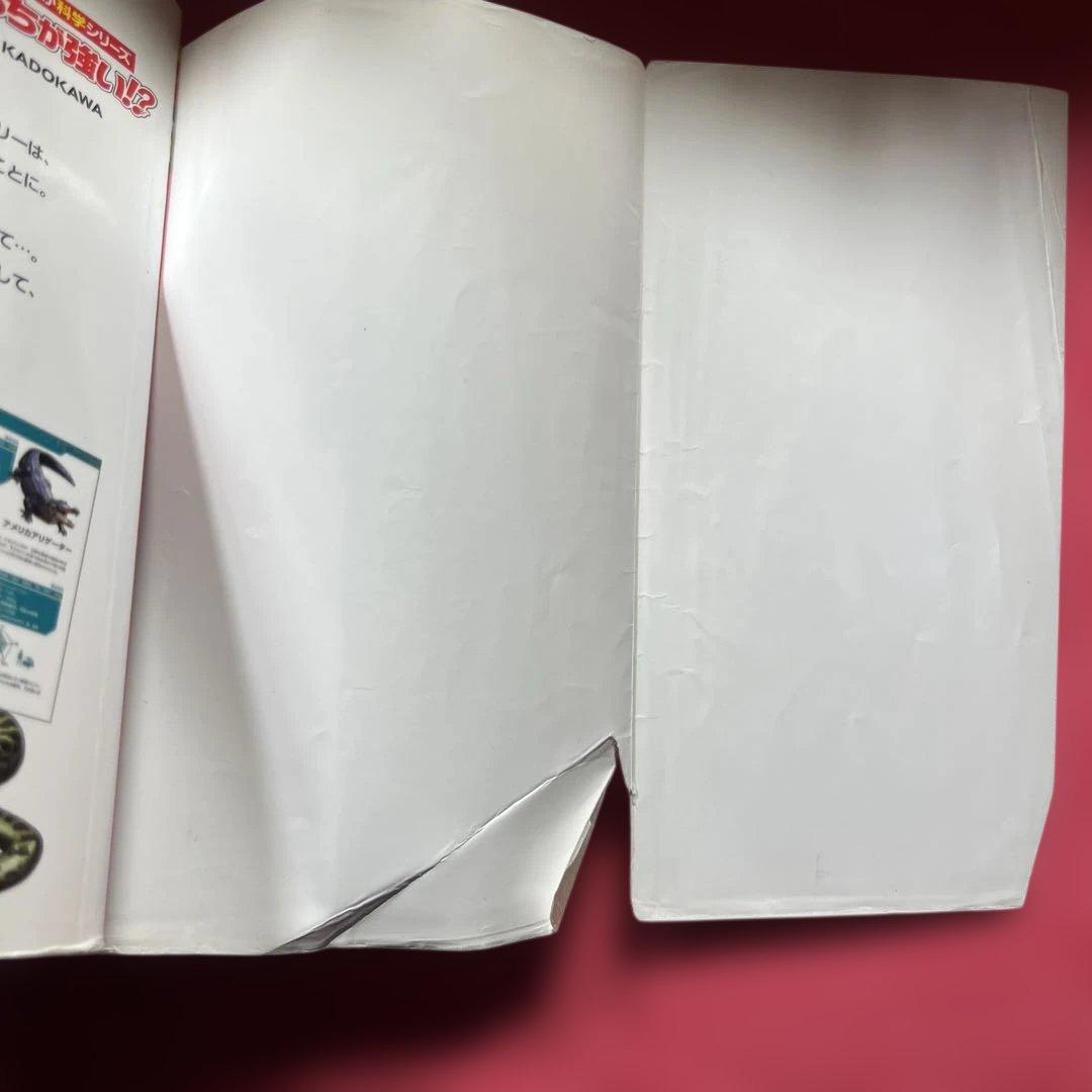 角川まんが科学シリーズ　どっちが強い⁉︎　全37冊セット