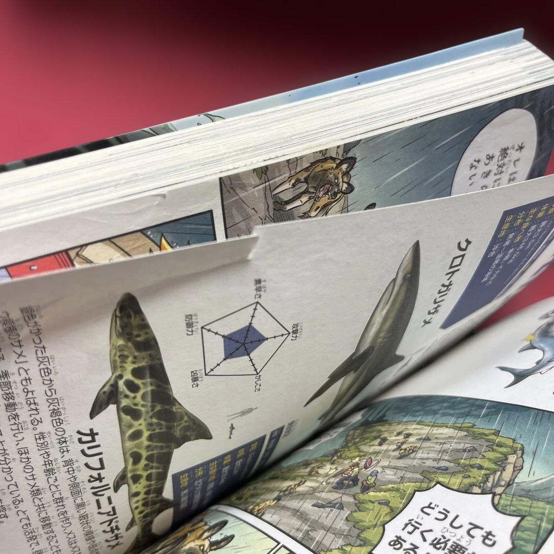 角川まんが科学シリーズ　どっちが強い⁉︎　全37冊セット