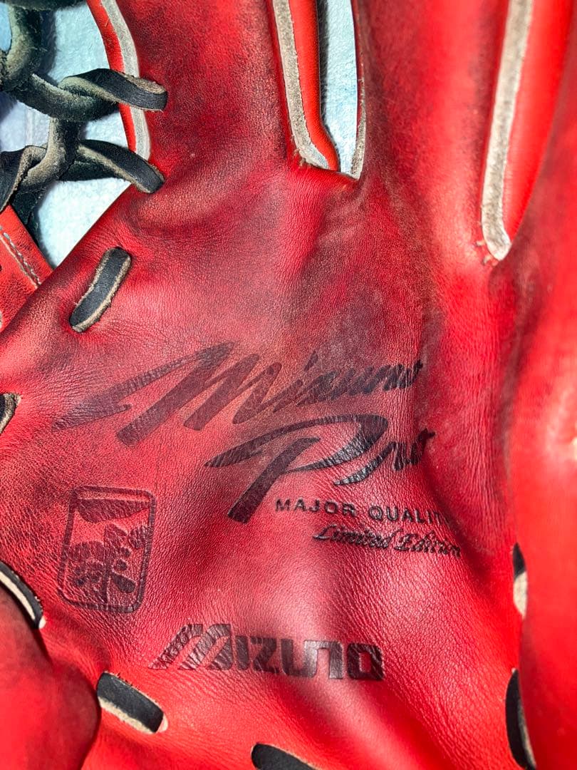 Mizuno Pro 硬式用　波賀ジャパン　限定