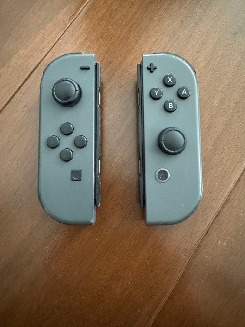 Nintendo Switch 本体 グレー(プロコン2つ・携帯ケース付き)