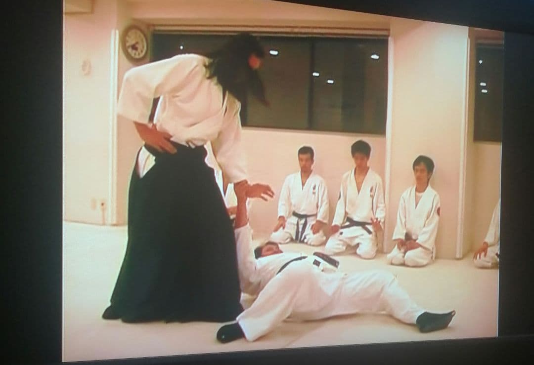 道術？ 日本傳上法円天流道術　内海康満監修ダイジェスト版DVD 11枚不揃い