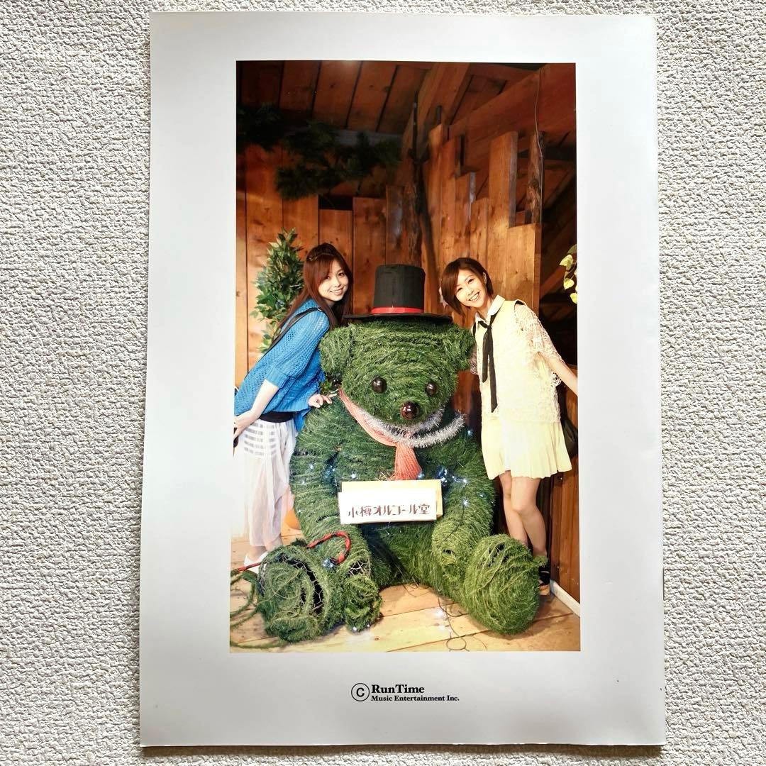 ZONE 復活ライブ公式パンフレット　2011年 / 2012年