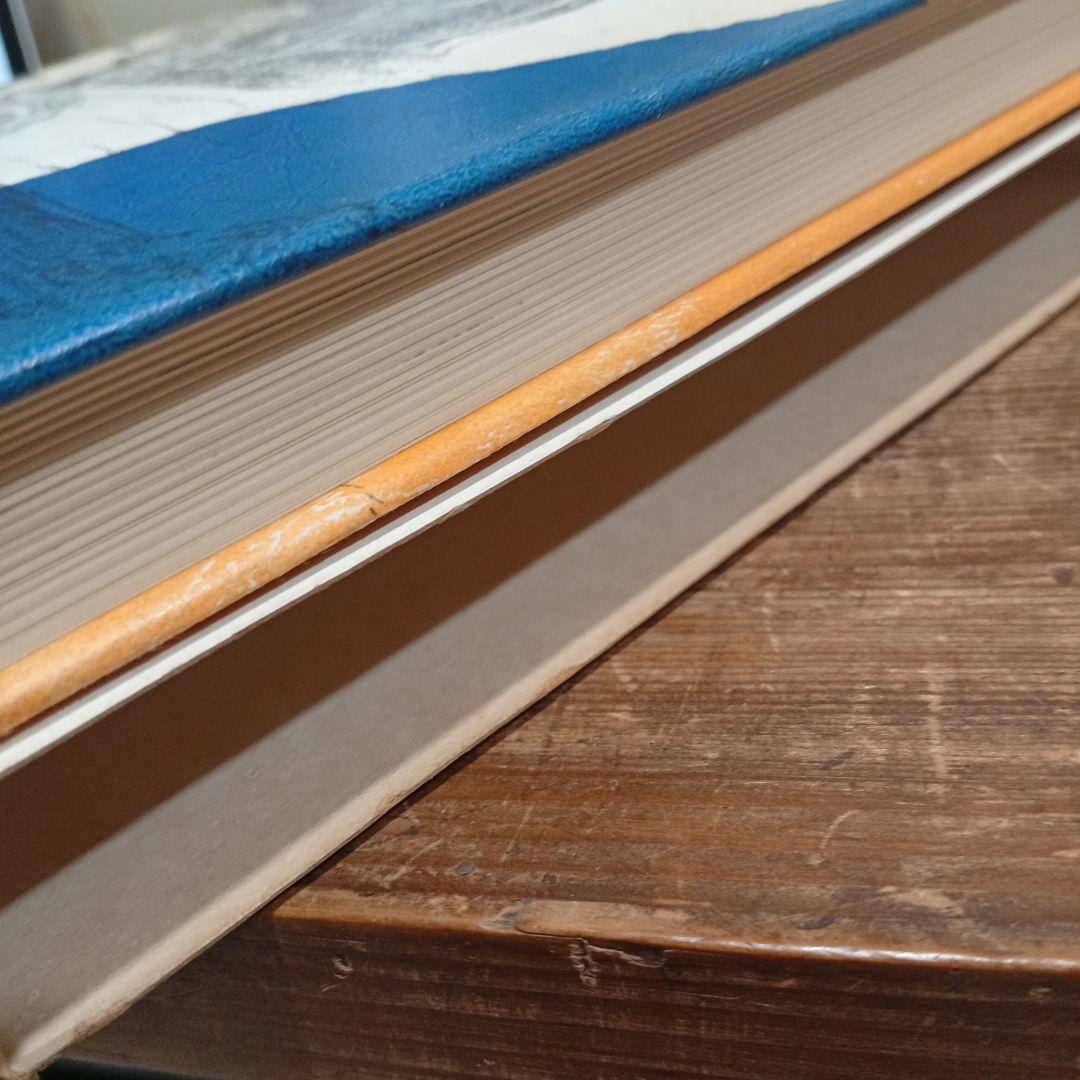 『骨の城』P・ファーマー（作）篠崎書林 児童書